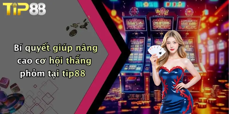 Bí quyết giúp nâng cao cơ hội thắng phỏm tại tip88