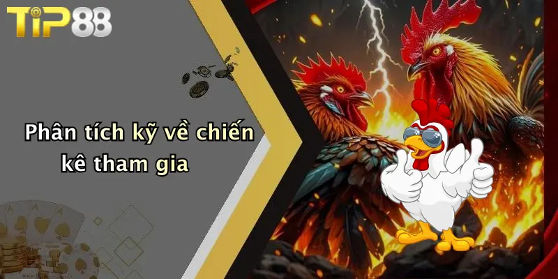 Phân tích kỹ về chiến kê tham gia